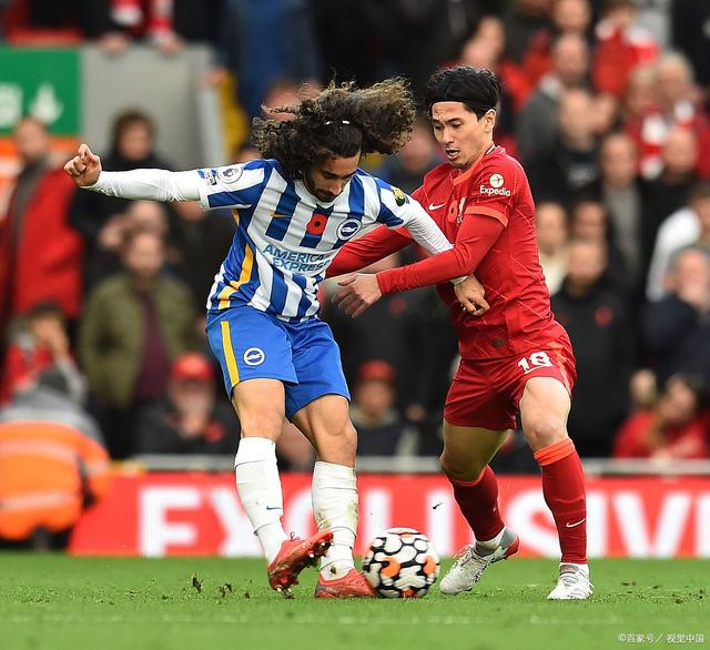 南安普顿不敌布莱顿，遭遇连败的简单介绍