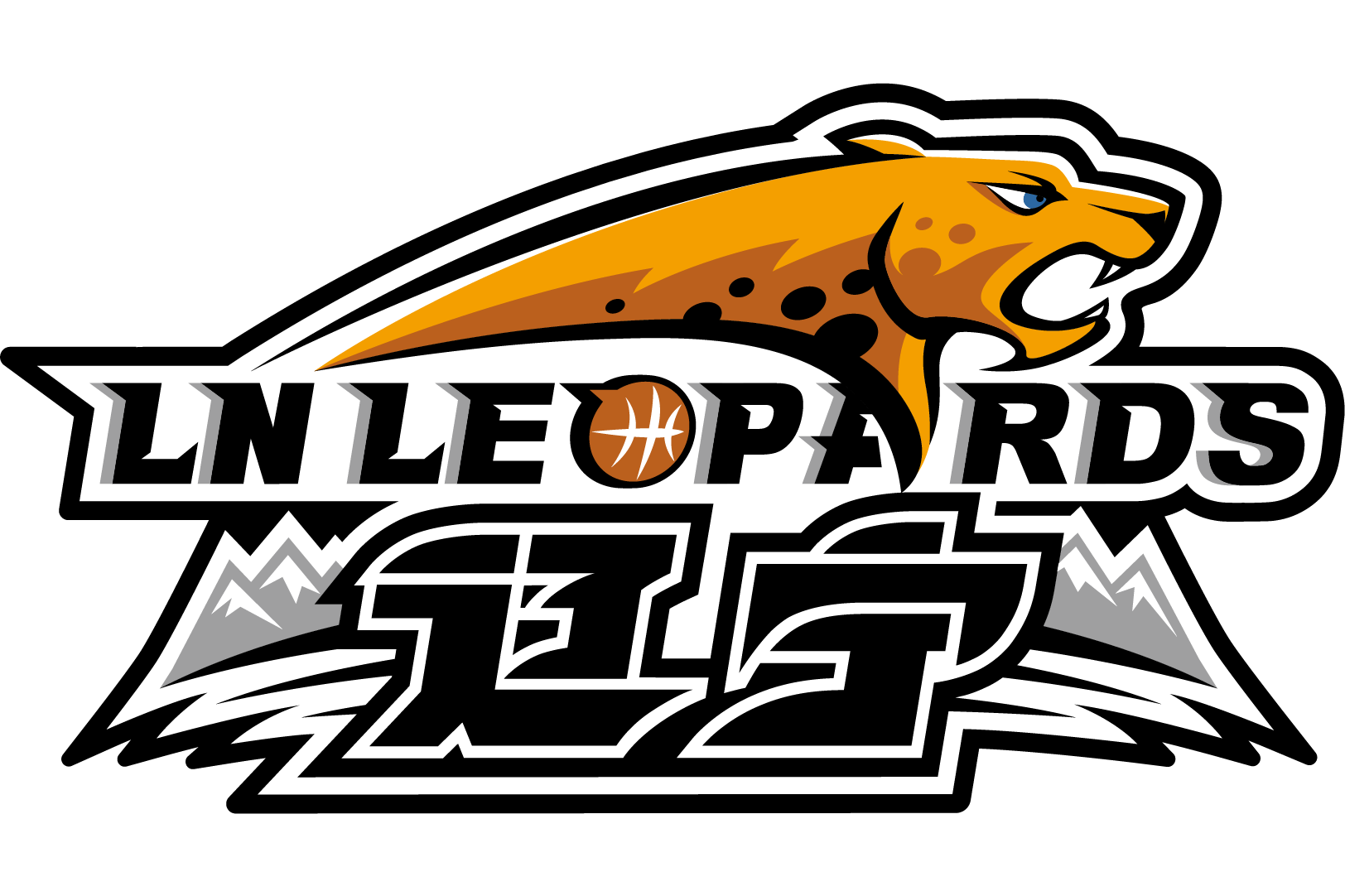 辽宁飞豹队实力超群,夺冠在望赛季的简单介绍 辽宁飞豹队实力超群,夺冠在望赛季的简单介绍