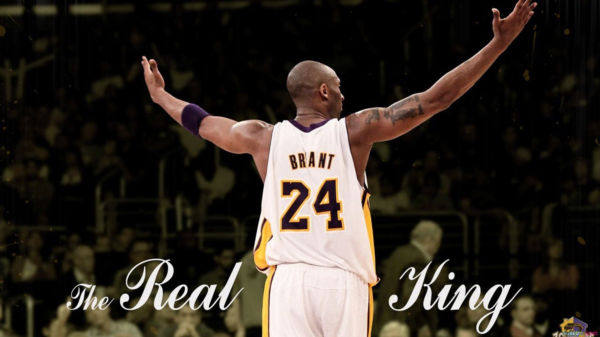 雷霆风暴，当青春无畏撞上经验之墙