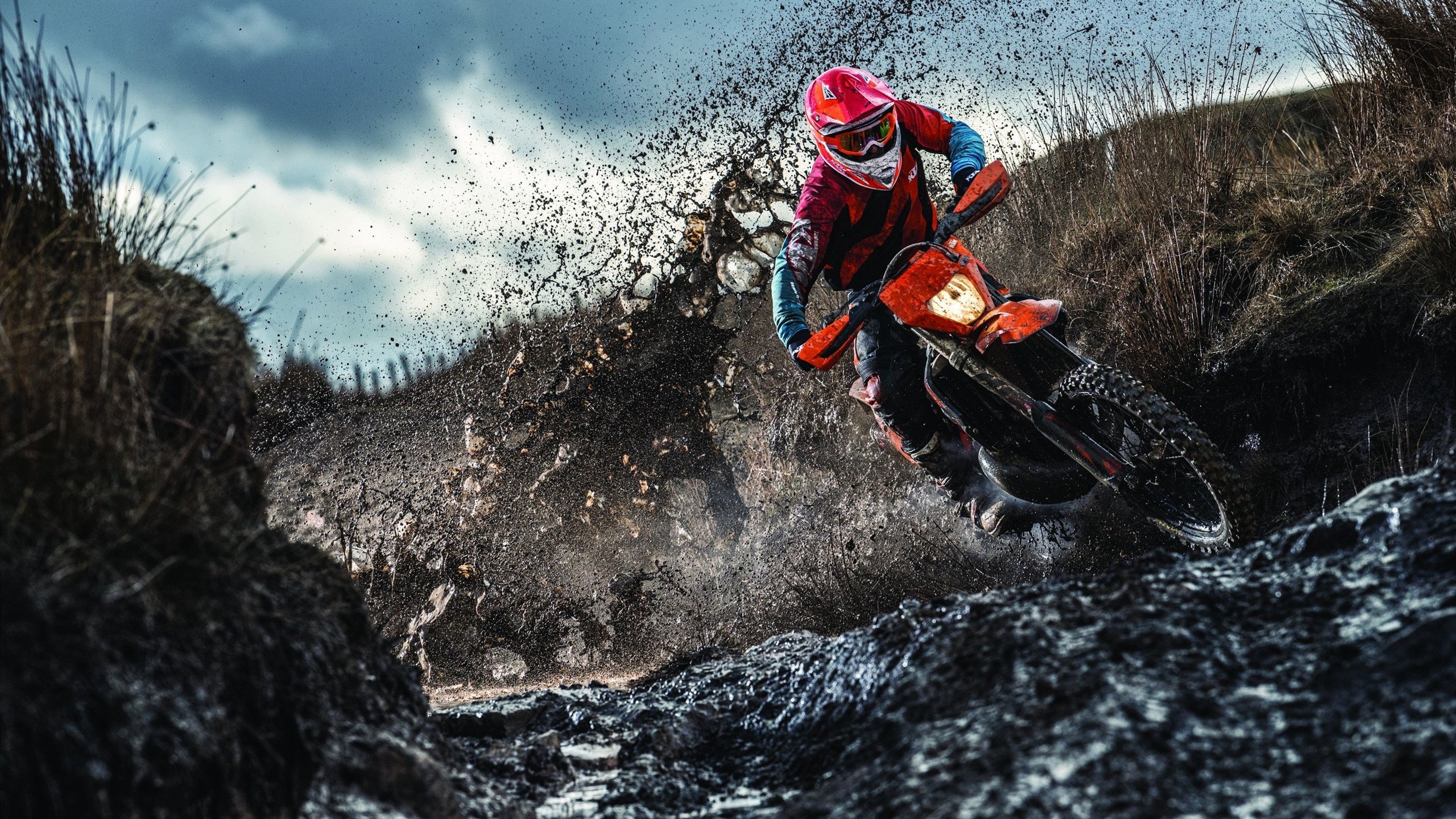 小贾伦·杰克逊的统治力，为何对手束手无策，掘金如何终结灰熊的连胜神话？