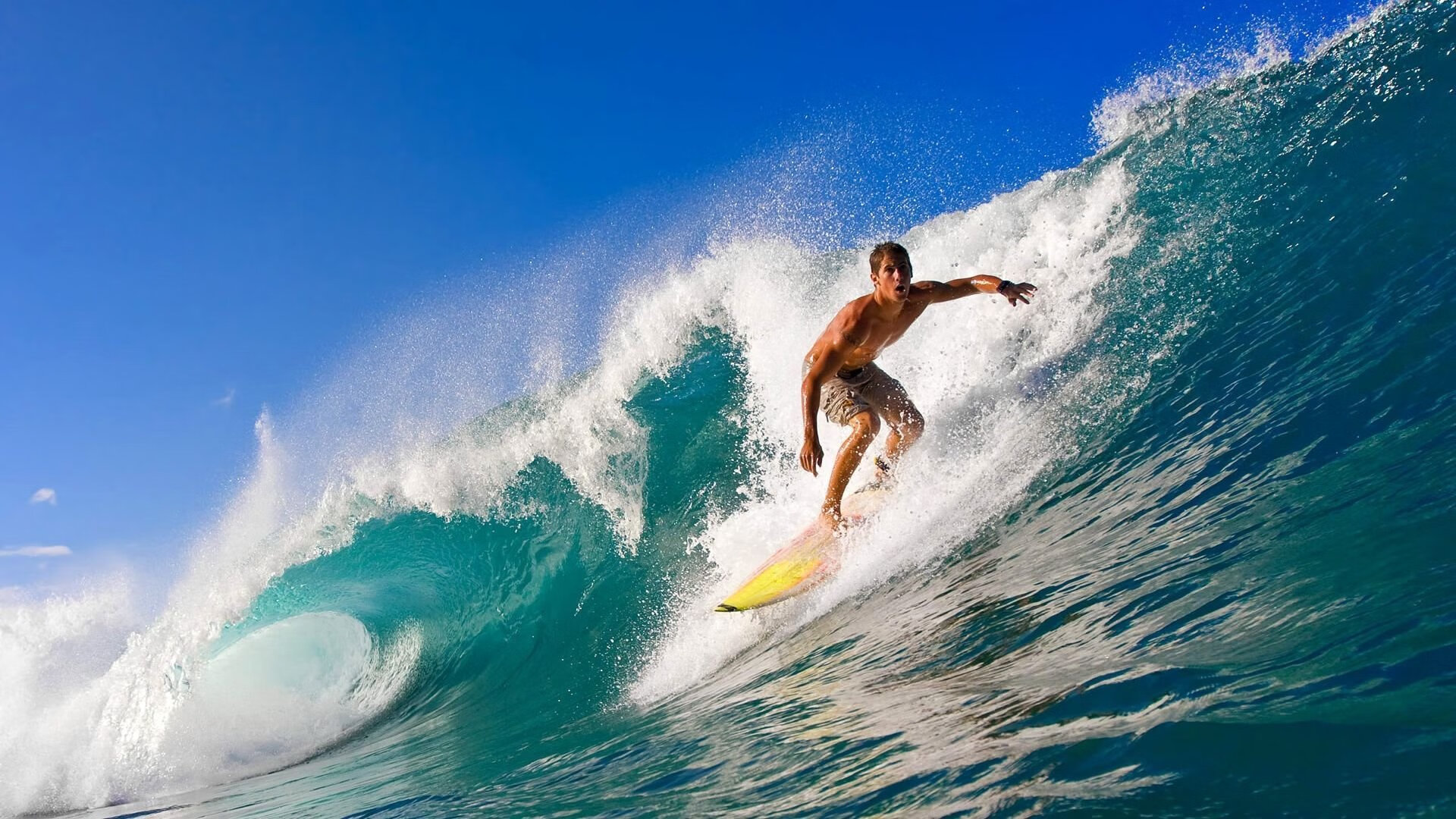 赛道上的双重奏,雷诺完胜索伯,诺里斯惊艳四座